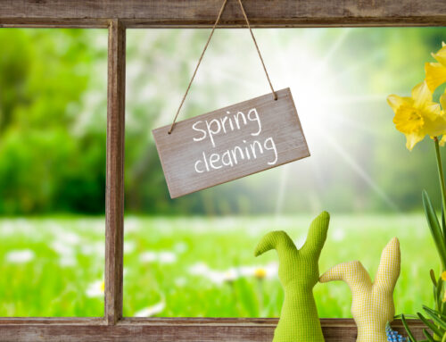 Why Philomath Families Trust Cleaning with Care NW for Eco-Friendly Home Cleaning