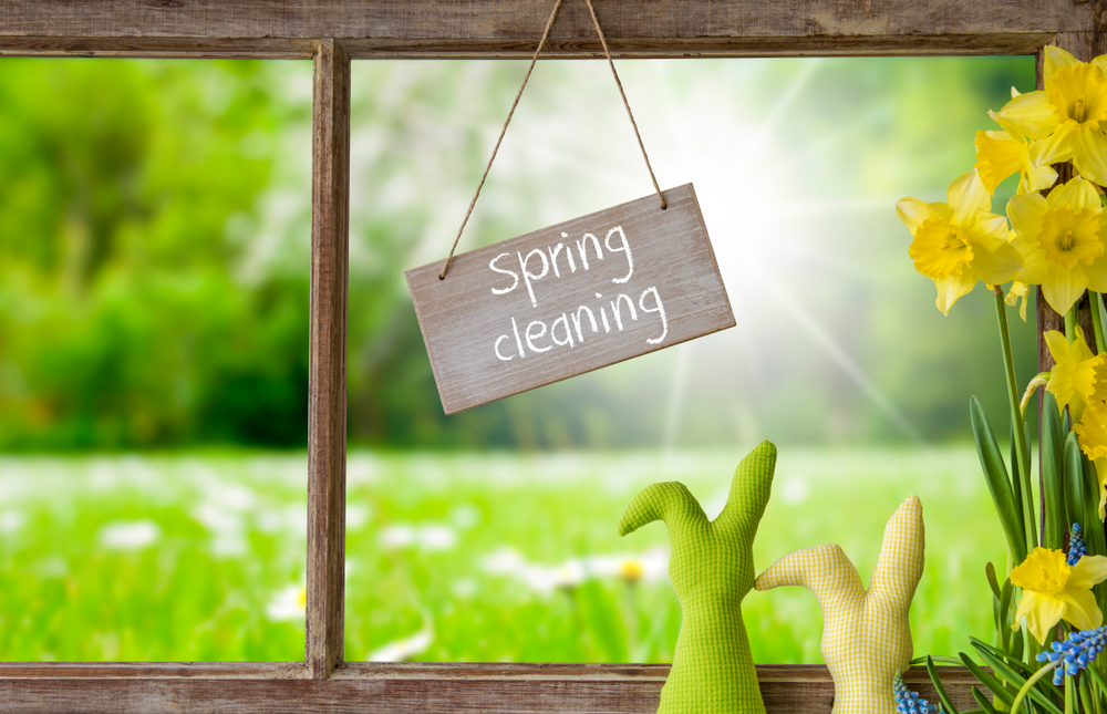 Window,,Green,Meadow,,Spring,Cleaning